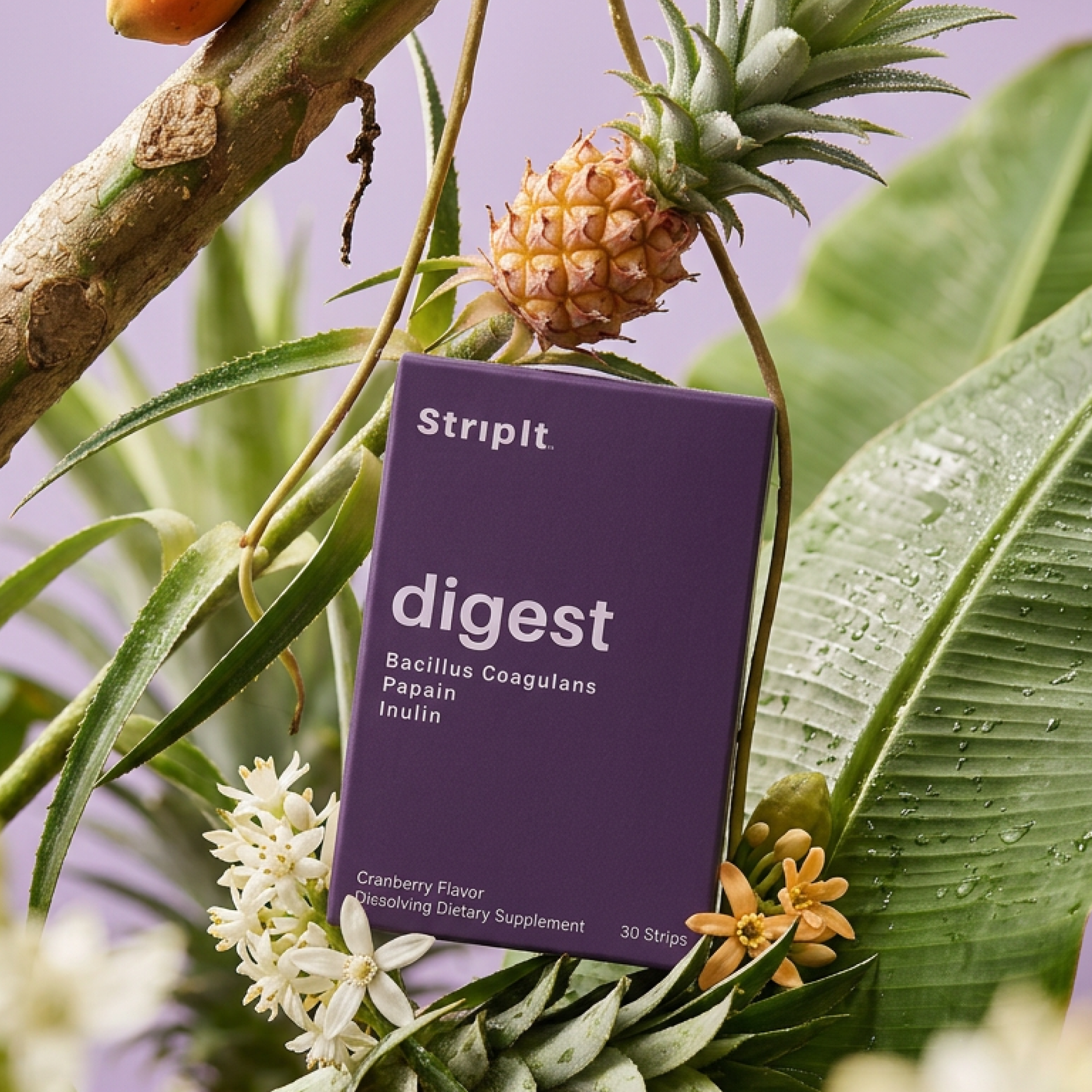 Digest Probiotic Strip